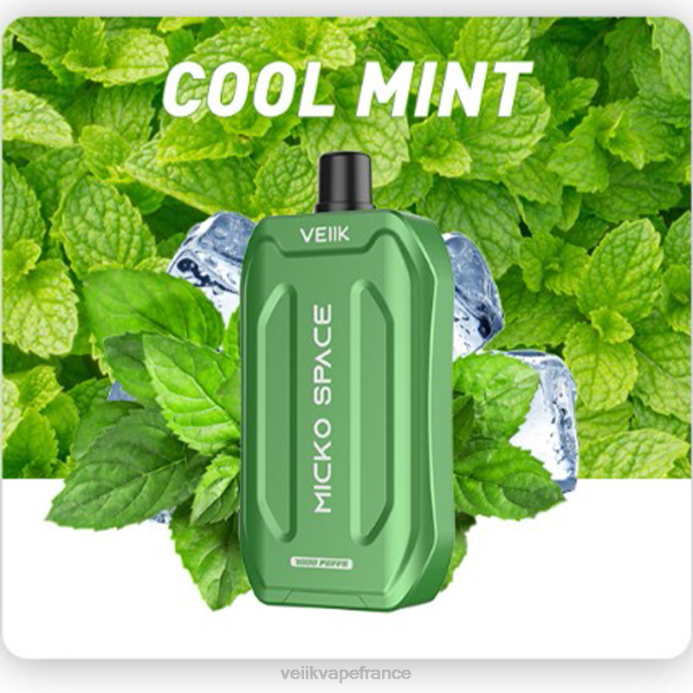 VEIIK Liquide France - VEIIK Micko Space vape jetable 7000 bouffées menthe fraîche 8H8636