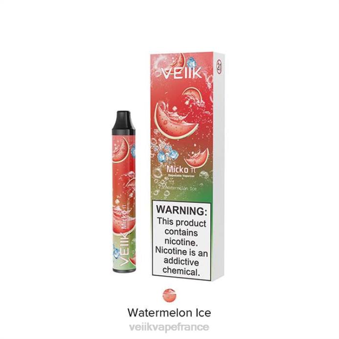VEIIK Vape France - VEIIK Micko Pie vape jetable 600 bouffées glace à la pastèque 8H8621