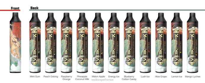VEIIK Vape Price - VEIIK Micko MAX vape jetable 1500 bouffées gomme à la menthe 8H8650