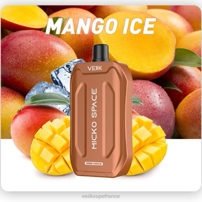 VEIIK Vape Price - VEIIK Micko Space vape jetable 7000 bouffées glace à la mangue 8H8640