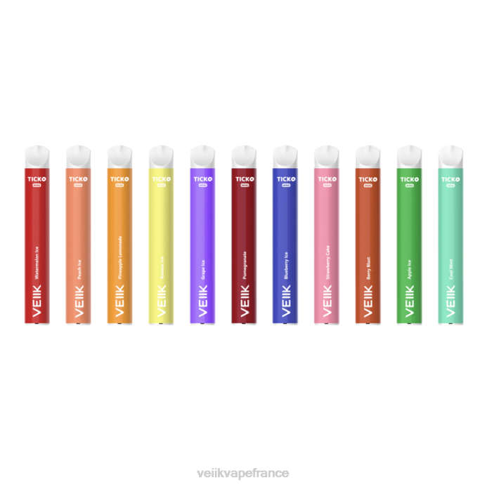 VEIIK Vape Price - VEIIK Ticko vape jetable 800 bouffées plusieurs saveurs 8H8630